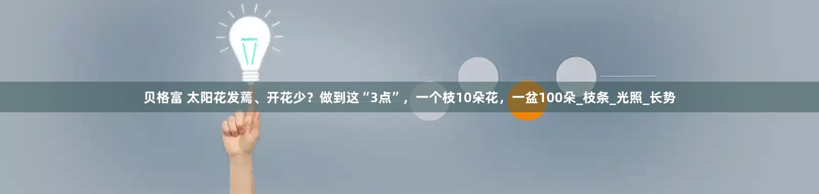 贝格富 太阳花发蔫、开花少？做到这“3点”，一个枝10朵花，一盆100朵_枝条_光照_长势