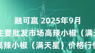 融可赢 2025年9月20日全国主要批发市场高辣小椒（满天星）价格行情